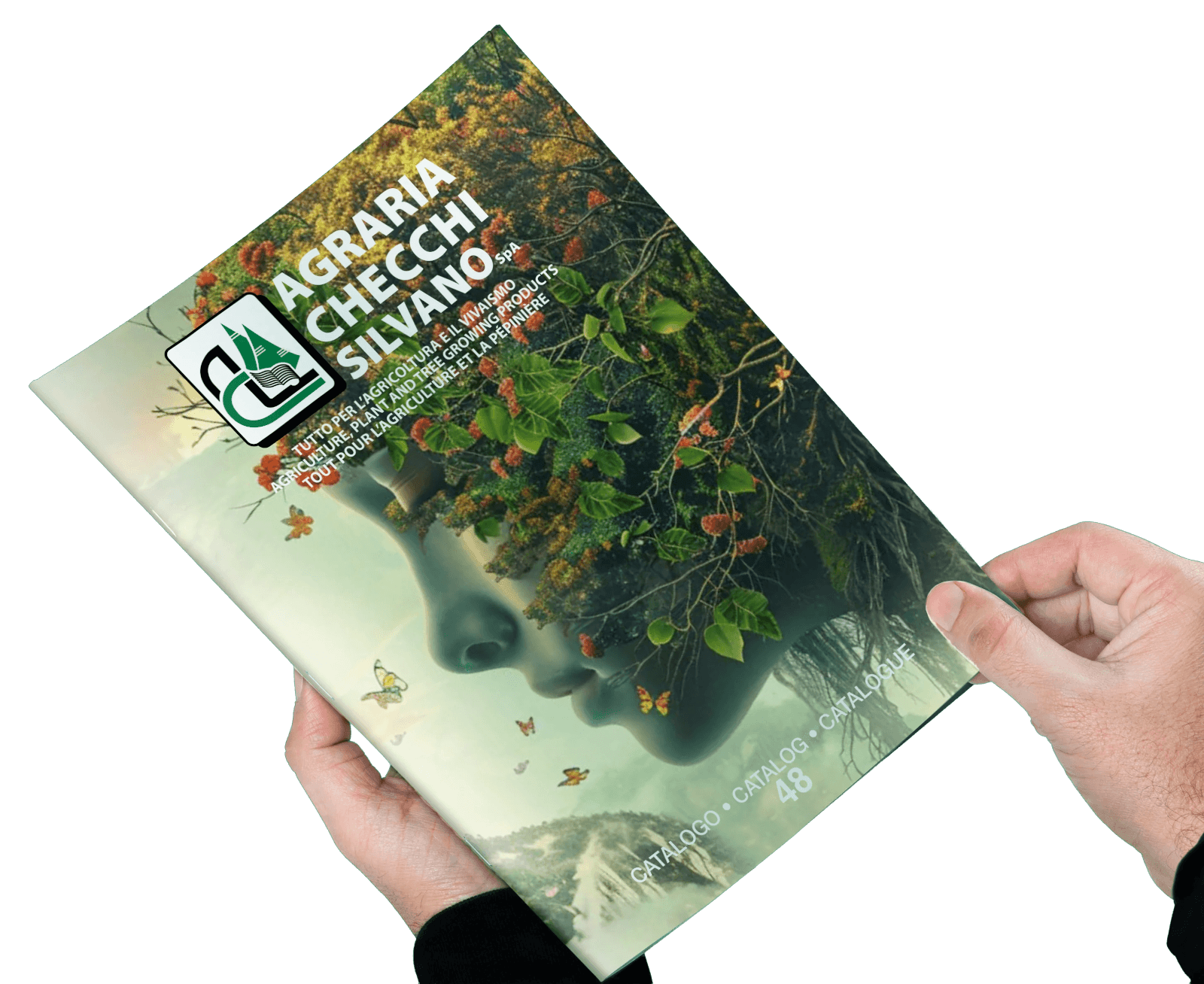 catalogo