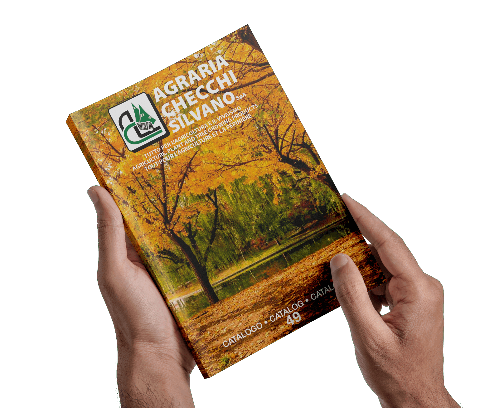 catalogo