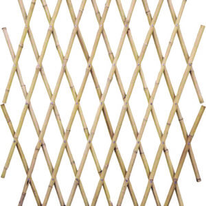 ESTENSIBILE IN BAMBOO