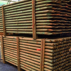 PALI DI PINO TORNITI