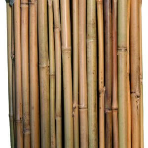 STUOIA BAMBOO RIVER