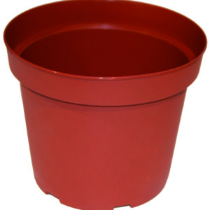 Vaso Gottinger terracotta