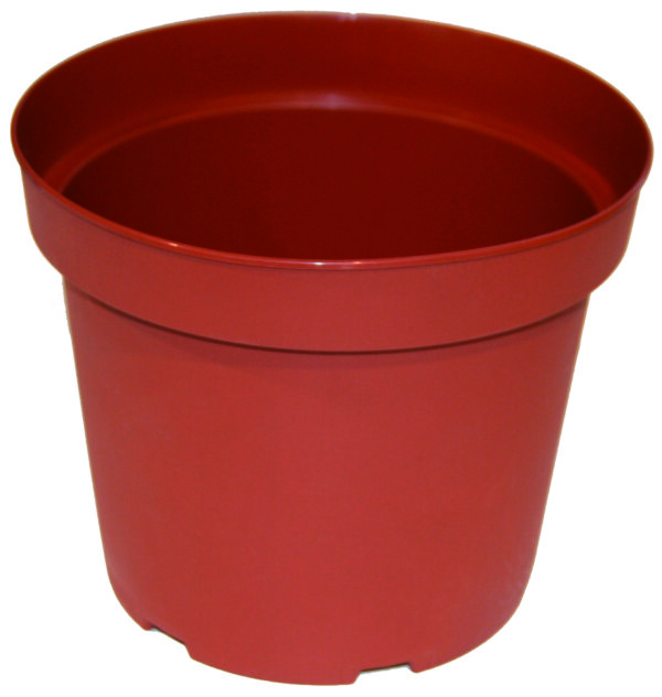 Vaso Gottinger terracotta