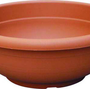 OLYMPUS Bowl
