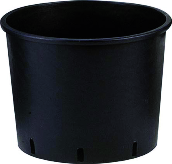 Vaso TONDO basso senza manici