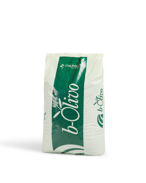 B-OLIVO