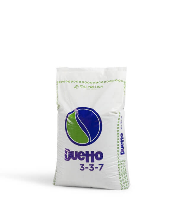 DUETTO