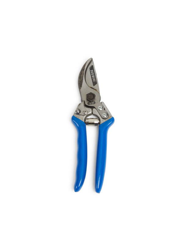 DUE BUOI FORBICE R27/21 CB