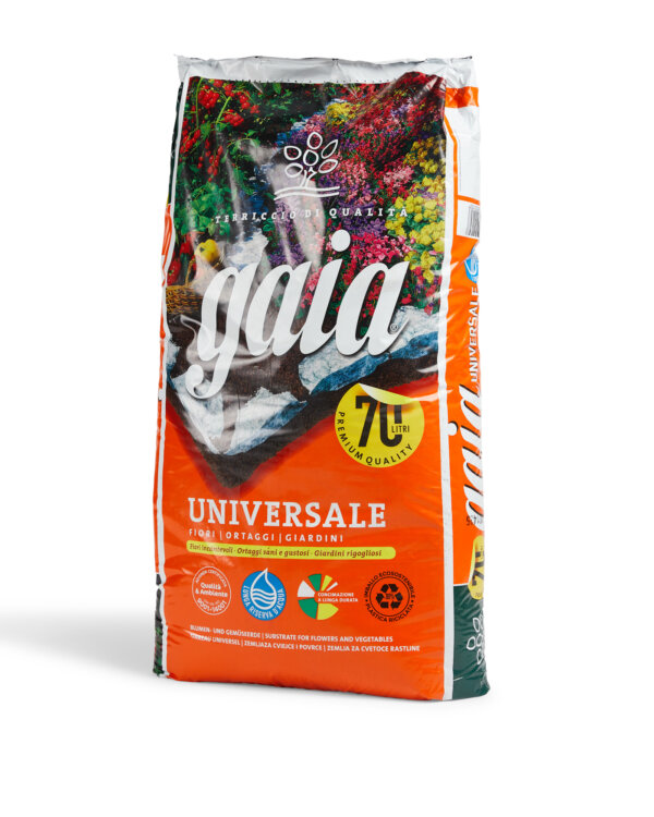 TERRICCIO GAIA UNIVERSALE