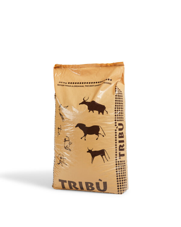 TRIBU'