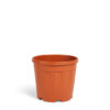 VASO FENICE