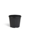 VASO FENICE