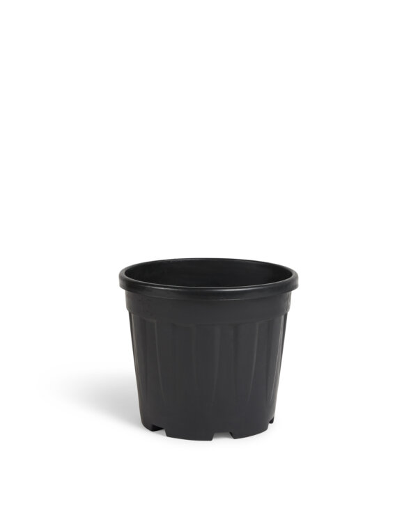 VASO FENICE